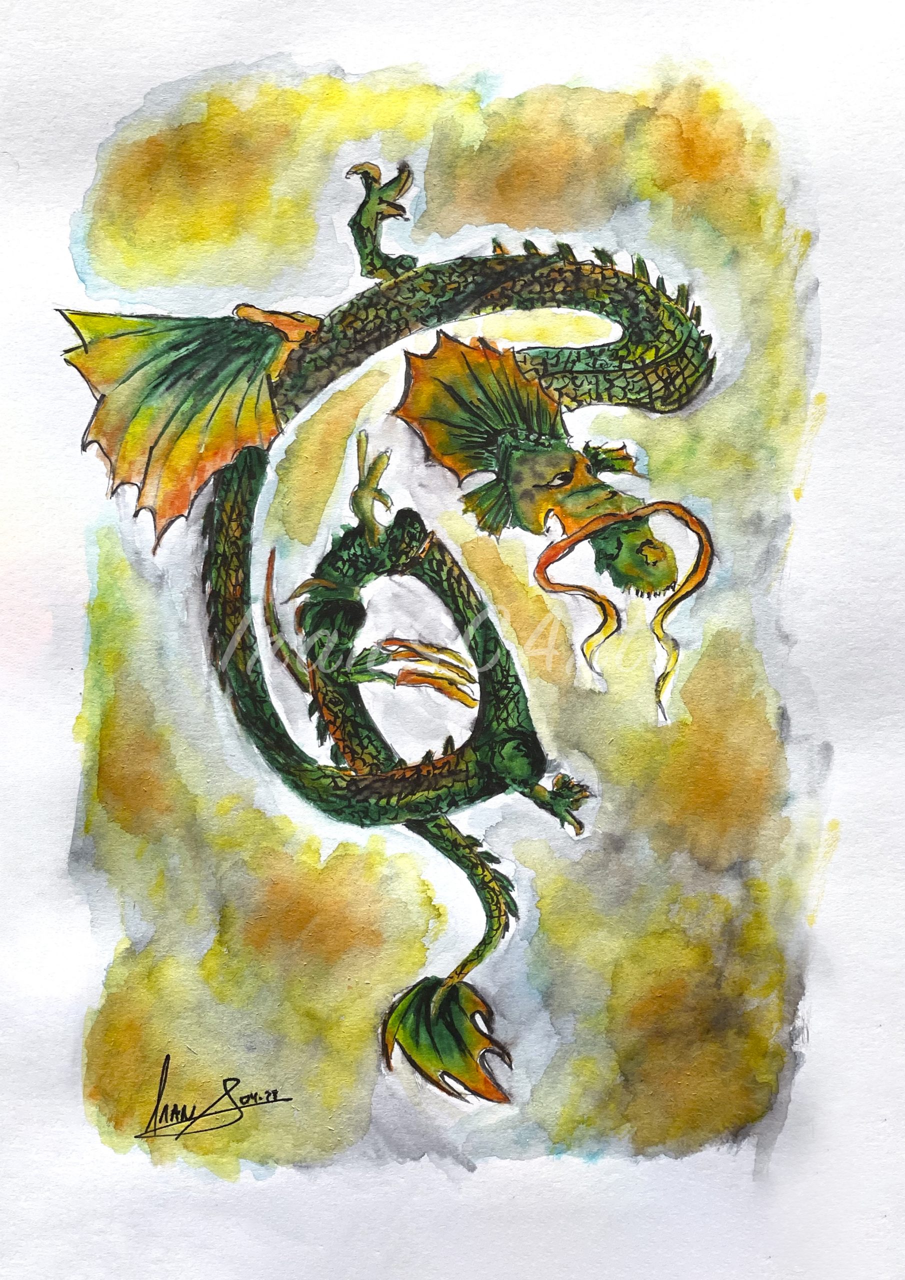 Gabrielle's Dragon Col.